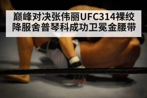 MMA grappling match